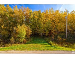 51047 Rge Rd 221, Rural Strathcona County, AB T8E1G8 Photo 6