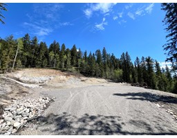 1460 Black Bear Drive, Golden, BC V0A1H7 Photo 3