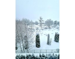 13 14541 Winter Crescent, Surrey, BC V4P0G5 Photo 3