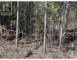 Lot 12 Con 10 Barryvale Road, Calabogie, ON K0J1H0 Photo 4