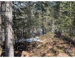 Lot 12 Con 10 Barryvale Road, Calabogie, ON K0J1H0 Photo 6