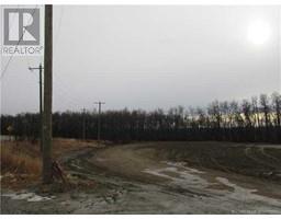 48 Railway Avenue, Benalto, AB T0M0H0 Photo 4