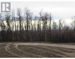 48 Railway Avenue, Benalto, AB T0M0H0 Photo 5