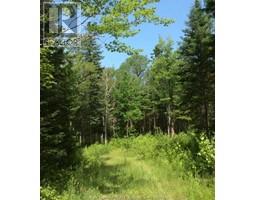 449 Cherryvale Rd, Canaan Forks, NB E4Z5X3 Photo 3