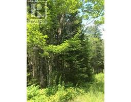 449 Cherryvale Rd, Canaan Forks, NB E4Z5X3 Photo 4