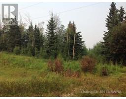 Lot 1 B 2 Mountain Springs Subdv, Rural Woodlands County, AB T7S1N5 Photo 6