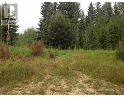 Lot 1 B 2 Mountain Springs Subdv, Rural Woodlands County, AB T7S1N5 Photo 4