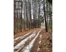 655 Boundary Road, Alfred, ON K0A1A0 Photo 2