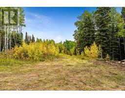 64 Hawks Landing Drive, Rural Foothills County, AB T0L1W0 Photo 7