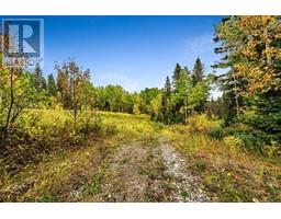 64 Hawks Landing Drive, Rural Foothills County, AB T0L1W0 Photo 6