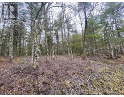 11 Peters Point Roads, South Brookfield, NS B0T1X0 Photo 5