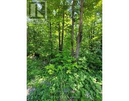 Lot 35 River Heights Rd, Marmora And Lake, ON K0K2M0 Photo 3