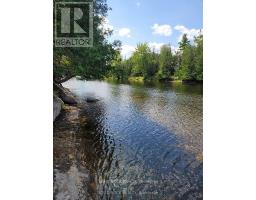 Lot 35 River Heights Rd, Marmora And Lake, ON K0K2M0 Photo 4