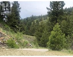 410 Sasquatch Trail, Osoyoos, BC V0H1V6 Photo 4