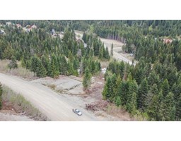 20488 Edelweiss Drive, Mission, BC V0M1A1 Photo 4