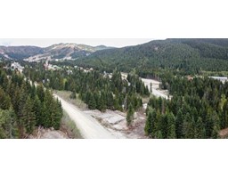 20488 Edelweiss Drive, Mission, BC V0M1A1 Photo 5