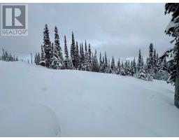 154 Alpine Way, Smithers, BC V0J2N0 Photo 3