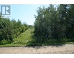 7 Buffalo Drive, Rural Stettler No 6 County Of, AB T0C1G0 Photo 2