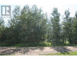7 Buffalo Drive, Rural Stettler No 6 County Of, AB T0C1G0 Photo 3