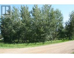 7 Buffalo Drive, Rural Stettler No 6 County Of, AB T0C1G0 Photo 4