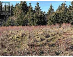 Lot 1 Old 329 Highway, Bayswater, NS B0J1T0 Photo 4
