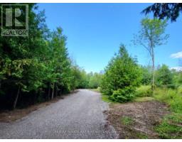 81 Silver Heights Dr, Trent Hills, ON K0L1Y0 Photo 6