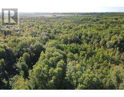 Lot 50 Woodward Ave, Blind River, ON P0R1B0 Photo 3