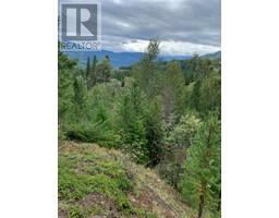 3884 Birch Island Lost Crk Rd, Clearwater, BC V0E1N2 Photo 6