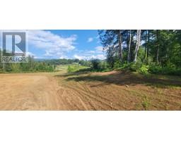 Lot 1 Dl 2 Yellowhead Highway, Clearwater, BC V0E1N1 Photo 3