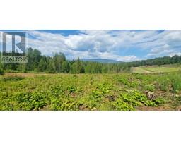 Lot 1 Dl 2 Yellowhead Highway, Clearwater, BC V0E1N1 Photo 4