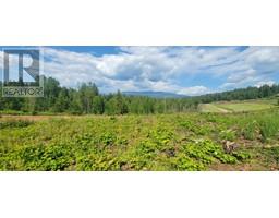 Lot 1 Dl 2 Yellowhead Highway, Clearwater, BC V0E1N1 Photo 5