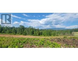 Lot 1 Dl 2 Yellowhead Highway, Clearwater, BC V0E1N1 Photo 6