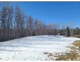 Primary Bedroom - 14 1103 Twp Rd 540, Rural Parkland County, AB T7Y0A6 Photo 6