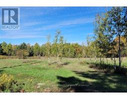 N A 10th Line, Smith Ennismore Lakefield, ON K0L2H0 Photo 3