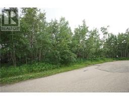 142 27054 Township Road 364, Rural Red Deer County, AB T0M1R0 Photo 3