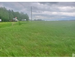 316 1 St, Rural Wetaskiwin County, AB T0C0T0 Photo 3