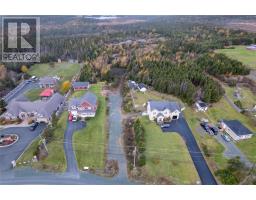 246 Old Broad Cove Road, Portugal Cove St Philips, NL A1M3M2 Photo 7
