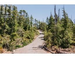 Lot B Hawkes Rd, Ucluelet, BC V0R3A0 Photo 6