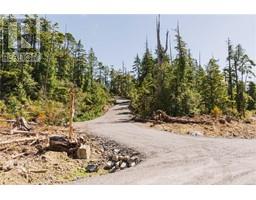 Lot B Hawkes Rd, Ucluelet, BC V0R3A0 Photo 5