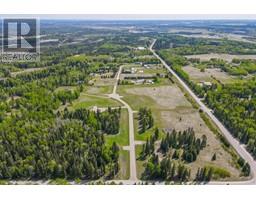 201 Fox Stone Place, Rural Clearwater County, AB T4T2A4 Photo 4
