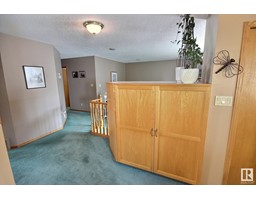Family room - 17803 91 A St Nw, Edmonton, AB T5Z2L2 Photo 4