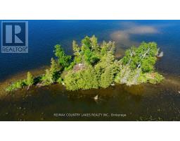 Lt 1 Island, Kawartha Lakes, ON K0M2B0 Photo 6