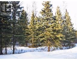 4 Forest, Rural Clearwater County, AB T4T2A4 Photo 5