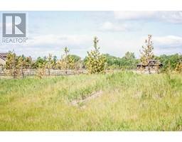 2378 Drive E, Rural Foothills County, AB T1S1A6 Photo 3