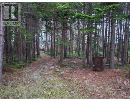 Primary Bedroom - 687 Oceanview Drive, Cape St George, NL A0N1T1 Photo 6