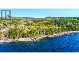 262 Road To The Isles Other, Campbellton, NL A0G1L0 Photo 2
