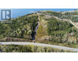 262 Road To The Isles Other, Campbellton, NL A0G1L0 Photo 6