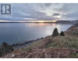 104 Bishops Cove Shore Road, Spaniards Bay, NL A0A3X0 Photo 5