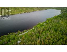 40 Lawrence Pond Road W, Conception Bay South, NL A1X4C5 Photo 5