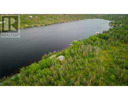 40 Lawrence Pond Road W, Conception Bay South, NL A1X4C5 Photo 6